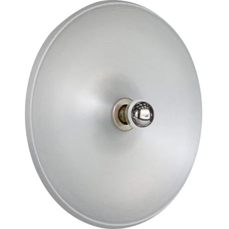 Model 262 Wall/Ceiling Lamp