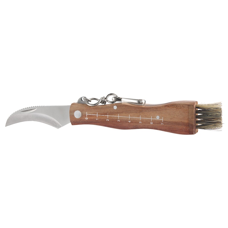 Stuti Mushroom Knife Stainless Steel