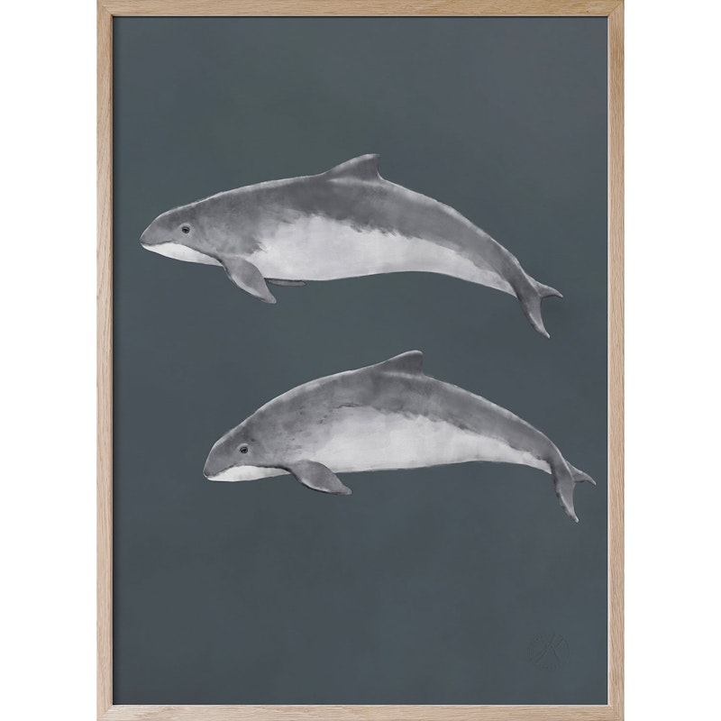 Baltic Porpoise Poster, 50x70 cm