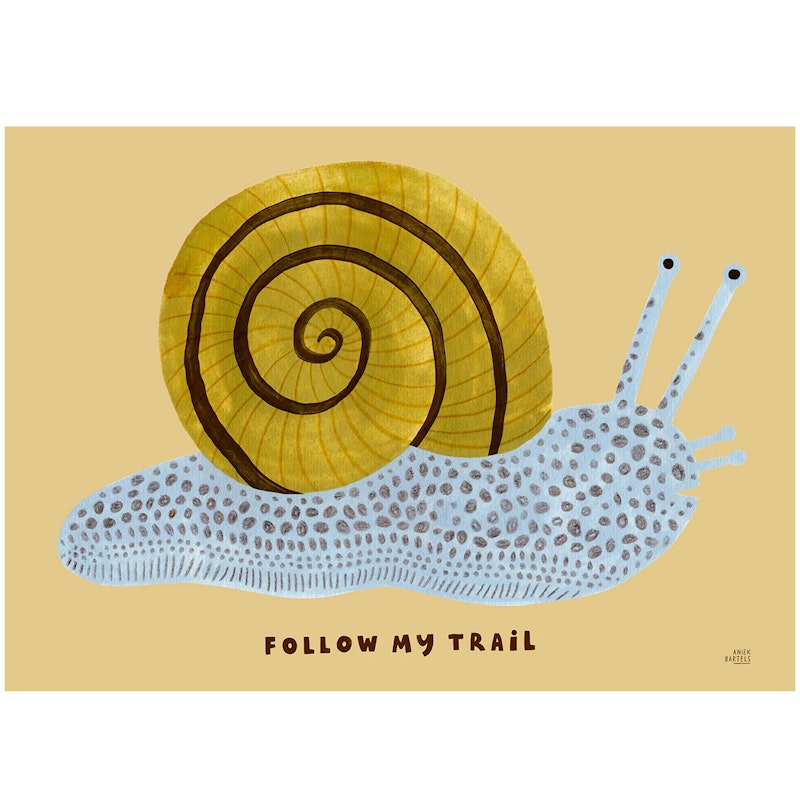 Follow My Trail Poster 30x40 cm