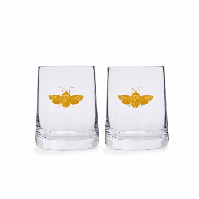 Creatures of Curiosity Tumbler, 2-pack