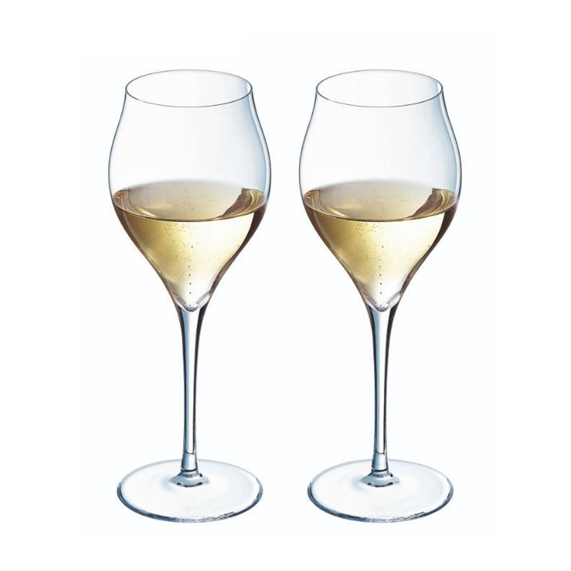 Exaltation Champagne Glass 30 cl, 2-pack