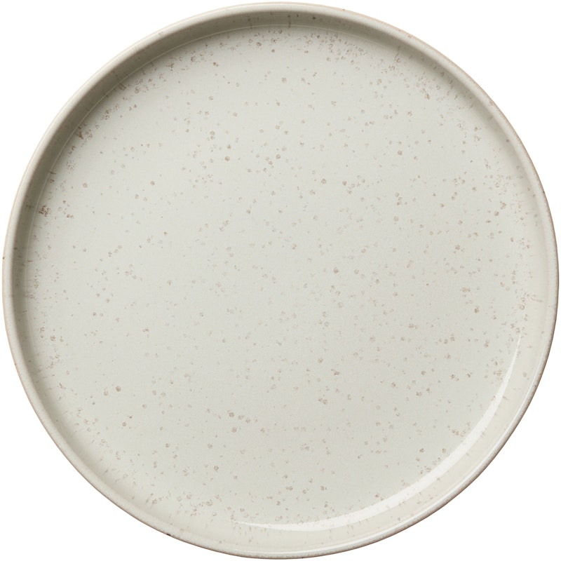 BON Plate 22 cm, Steam