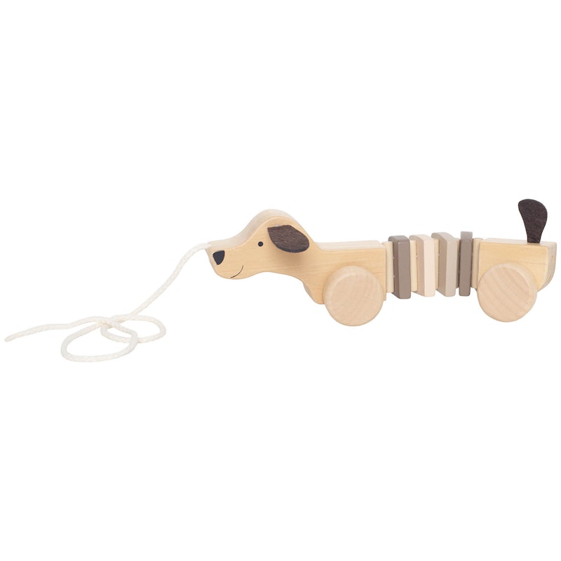 Puppy Pull-Along Toy