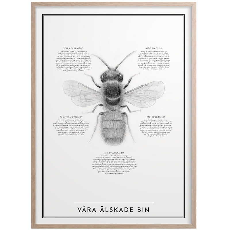 Våra Älskade Bin Poster 50x70 cm