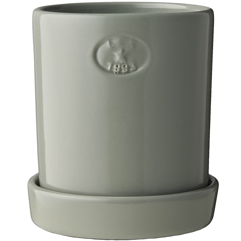 Pot With Saucer H18 cm, Eucalytus