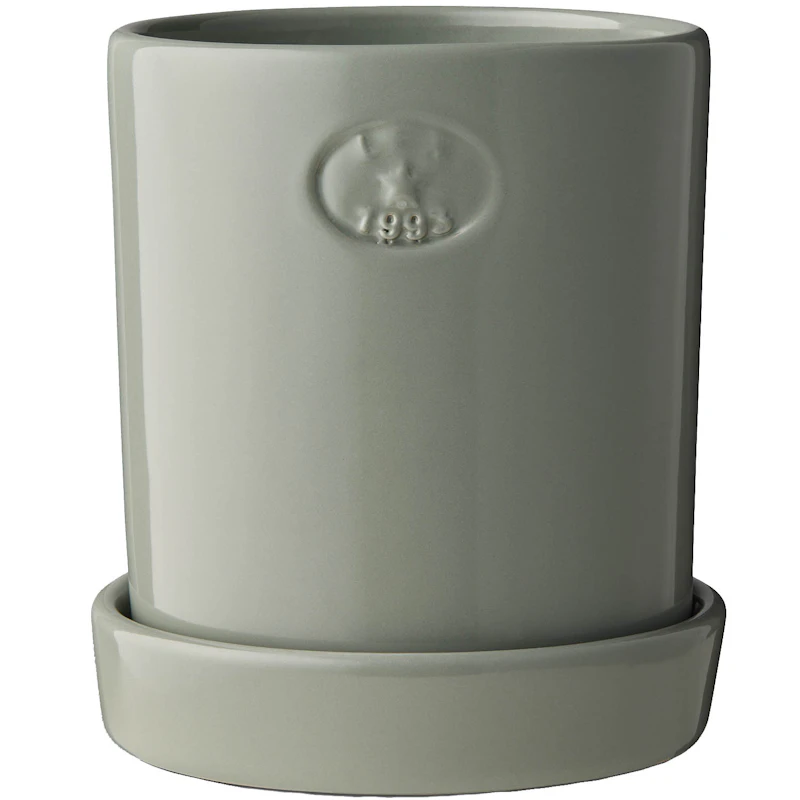 Pot With Saucer H18 cm, Eucalytus