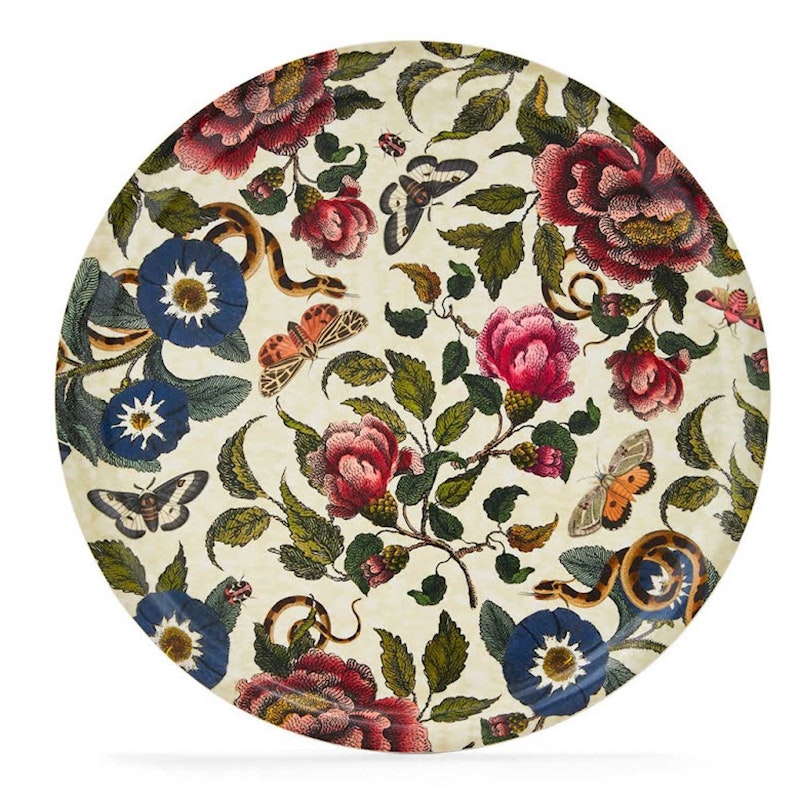 Creatures Of Curiosity Tray, 31 cm