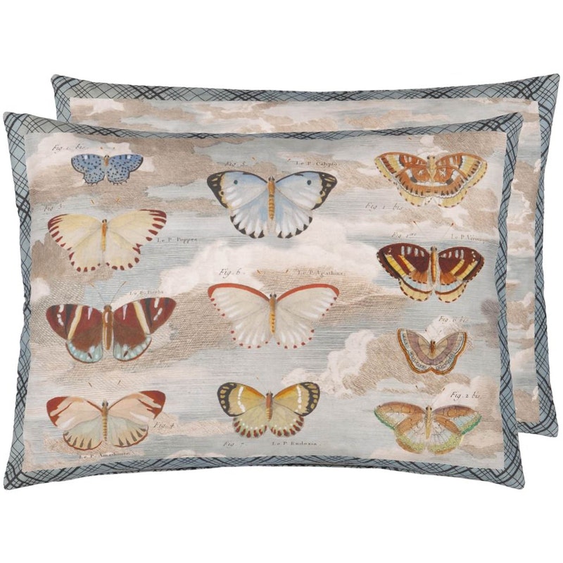 Butterfly Studies Kissen 45x60 cm, Parchment