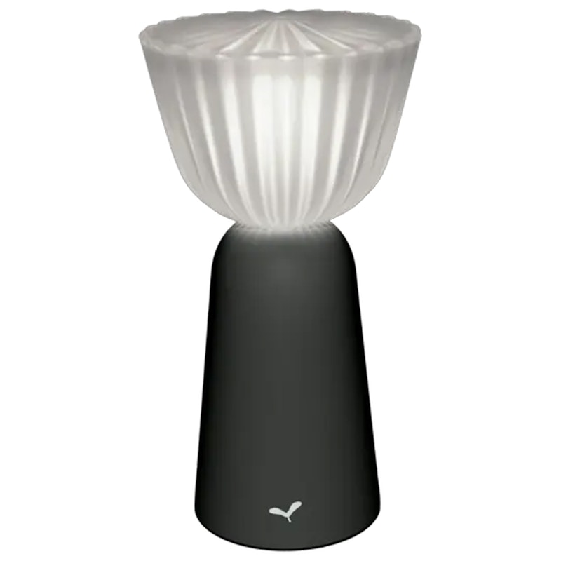 Swiing Table Lamp Portable, Anthracite