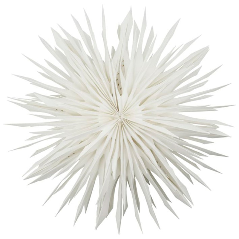 Reef Stern Off-white, 50 cm