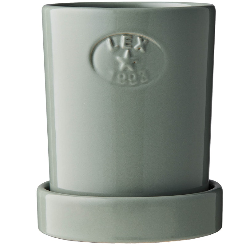 Pot With Saucer H14 cm, Eucalytus