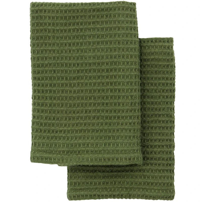 Dishcloth 30x30 cm 2-pack, Green