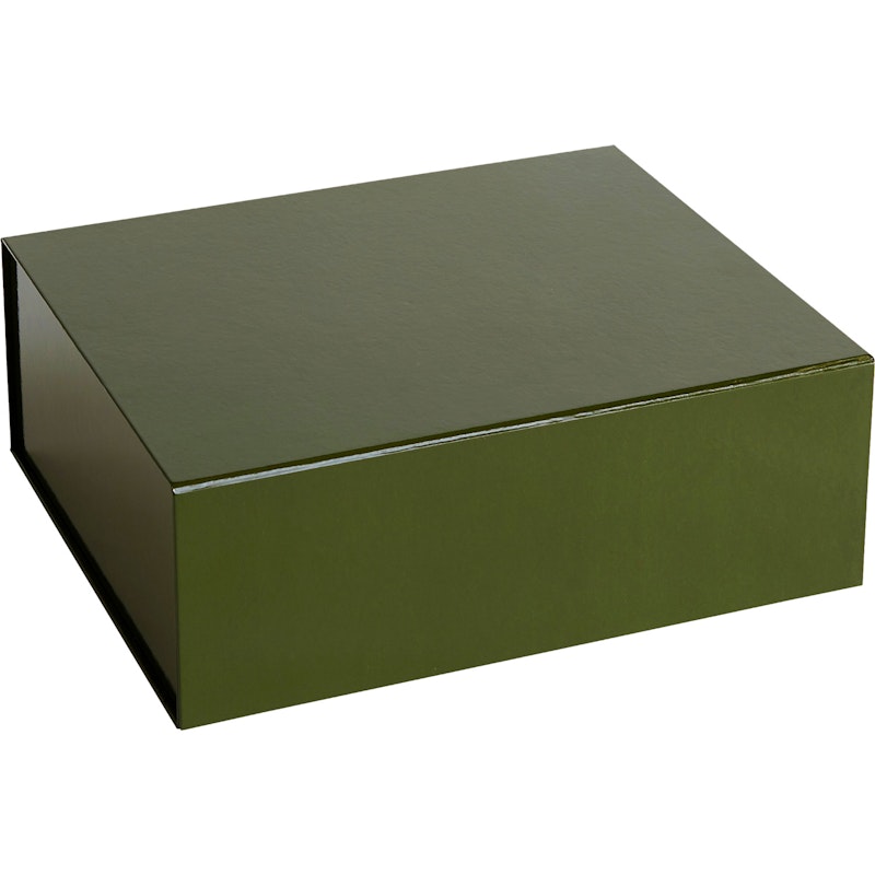 Colour Aufbewahrungsbox M, Olive