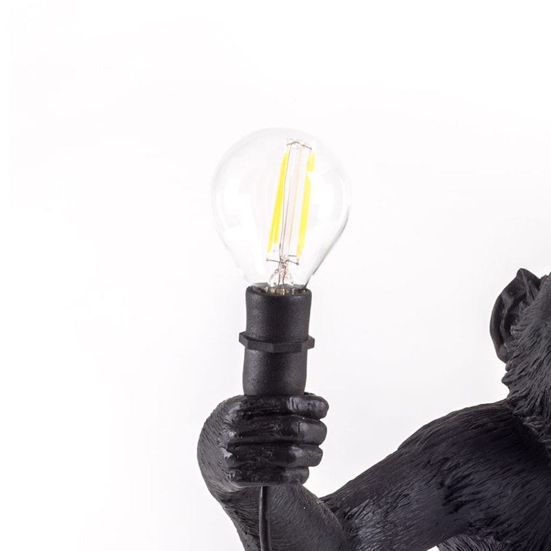 Monkey Lamp Outdoor Birne LED P45G 36V 2W E14