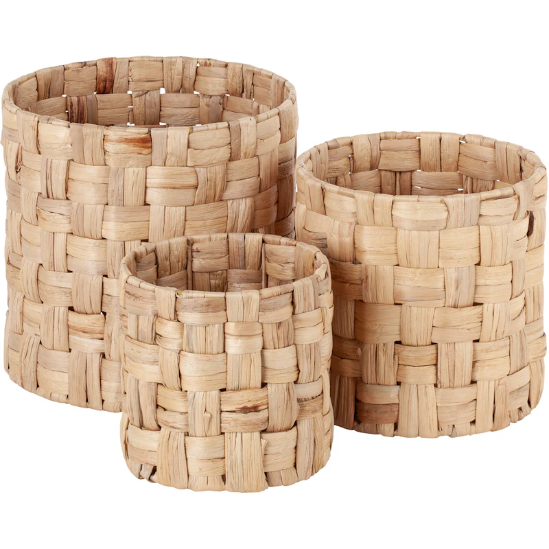 Cylinder panama Lily Manden, Pak van 3 van Dixie | RoyalDesign