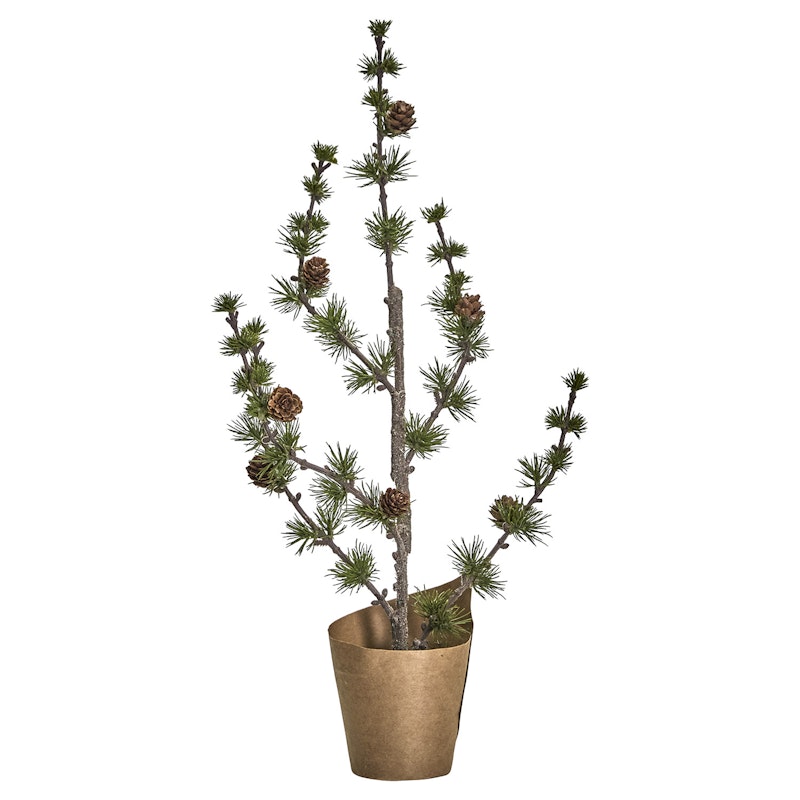 Stay Kerstboom, Groen