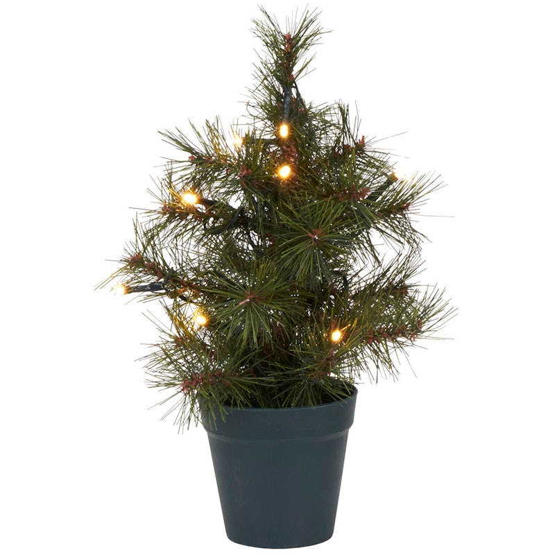 Pinus Kerstboom Groen, 30 cm