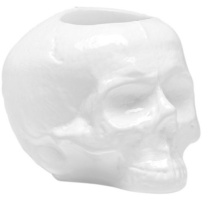 Still Life Skull Lantaarn, Wit