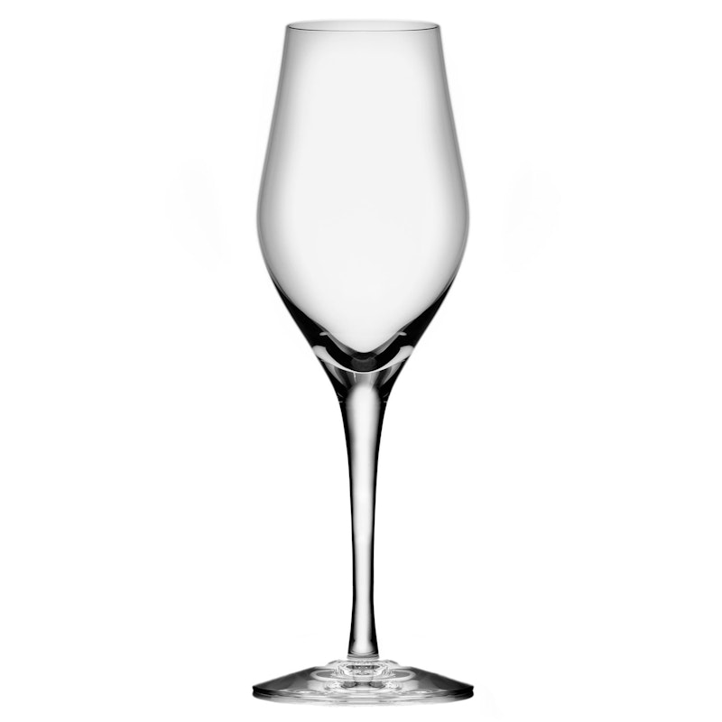 Sense Champagne Glass Set of 6