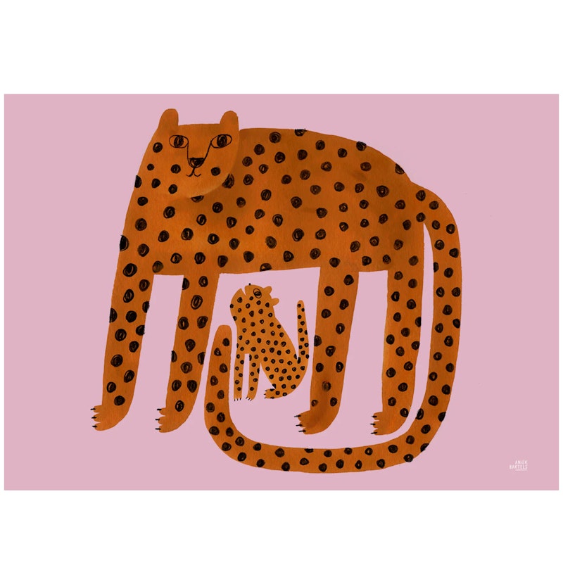 Leopards Poster 50x70 cm