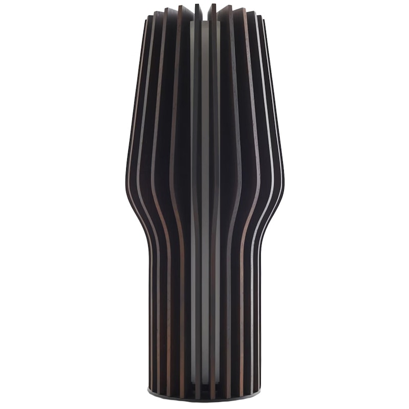 Radiant Draagbare Lamp 25 cm, Zwart