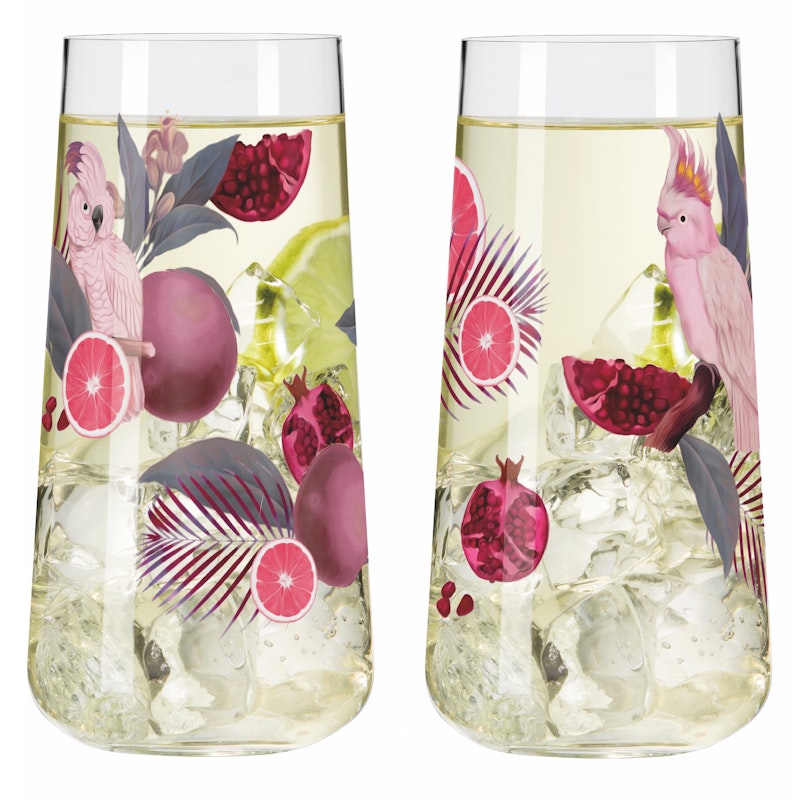 Sommersonett Drinkglazen Pak van 2, F24