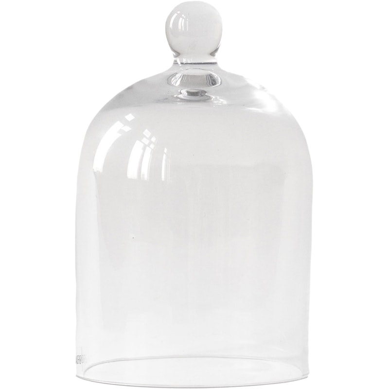 Glazen Koepel Doorzichtig