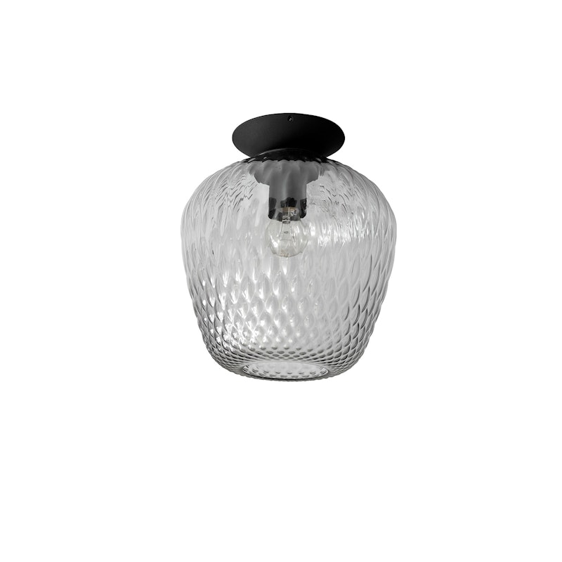 Blown ceiling lamp Sw5, Silver/Black