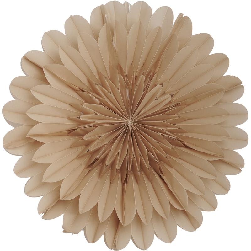 Lotus 60 Kerstster, Beige