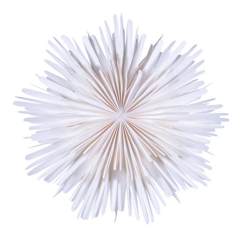 Molly Christmas Star 44 cm, White