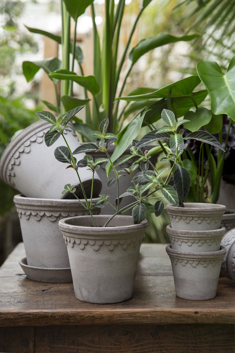Copenhagen Pot Grey, 12 cm from Bergs Potter | RoyalDesign