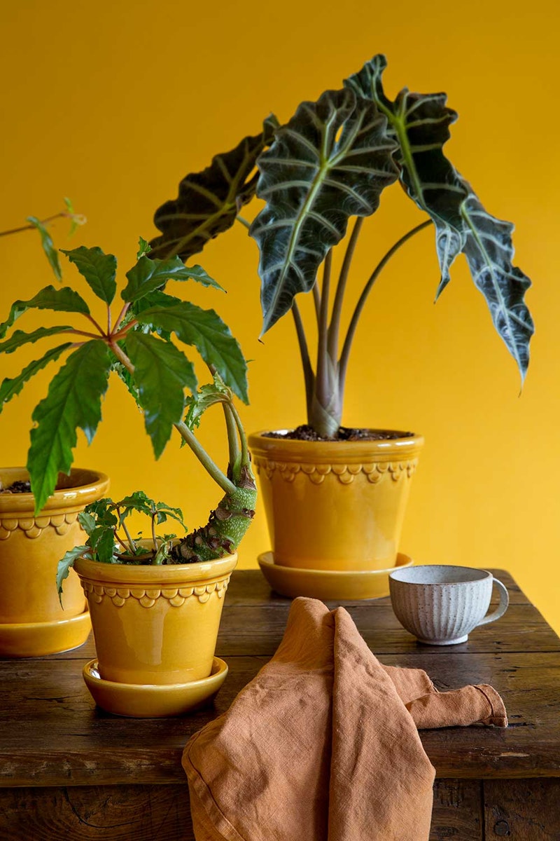 Copenhagen Pot With Saucer Yellow, Ø10 cm | RoyalDesign