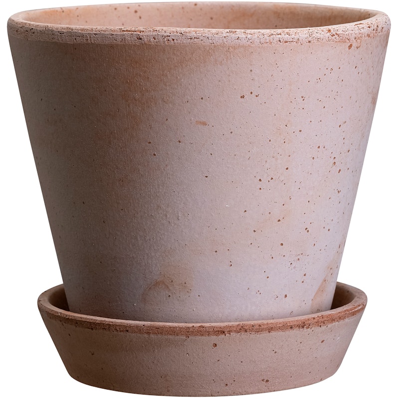 Julie Pot With Saucer Pink Ø8 cm