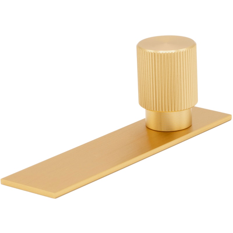 Arpa Knob With Plate 22 mm, Brushed Brass