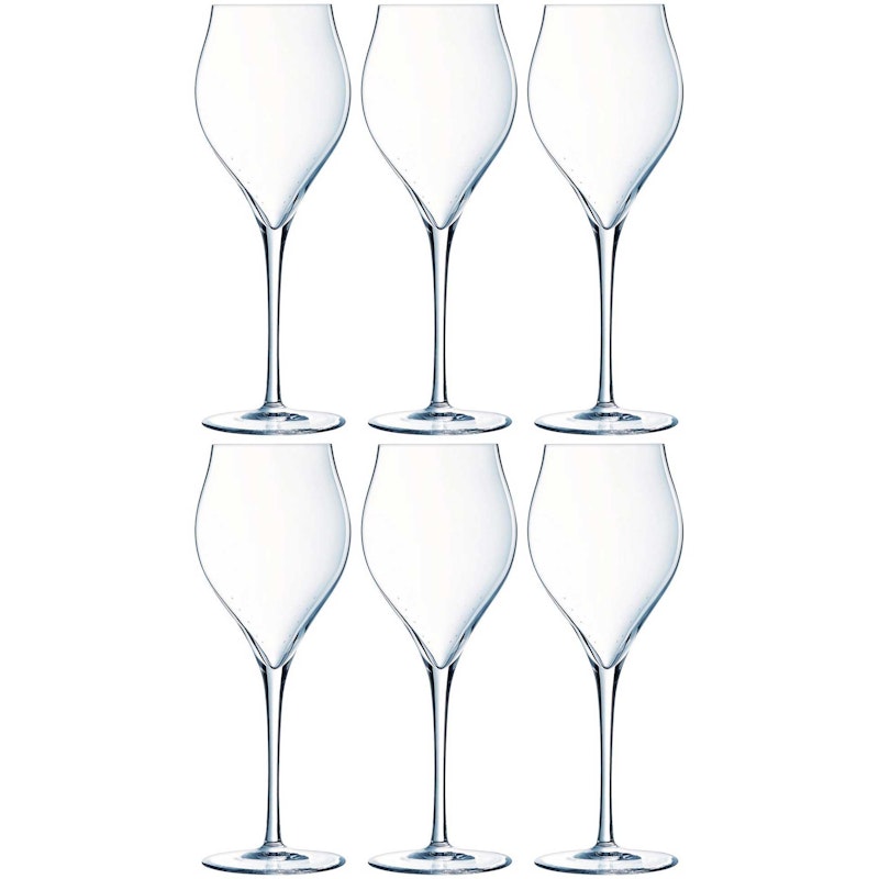 Exaltation Champagne Glass 30 cl Transparent, 6-pack