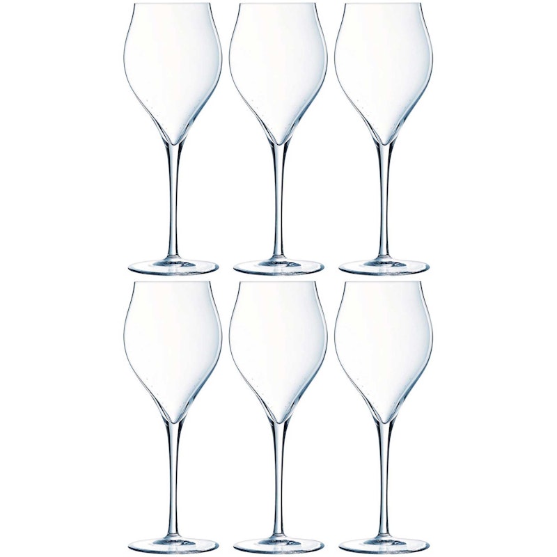 Exaltation Champagne Glass 30 cl Transparent, 6-pack