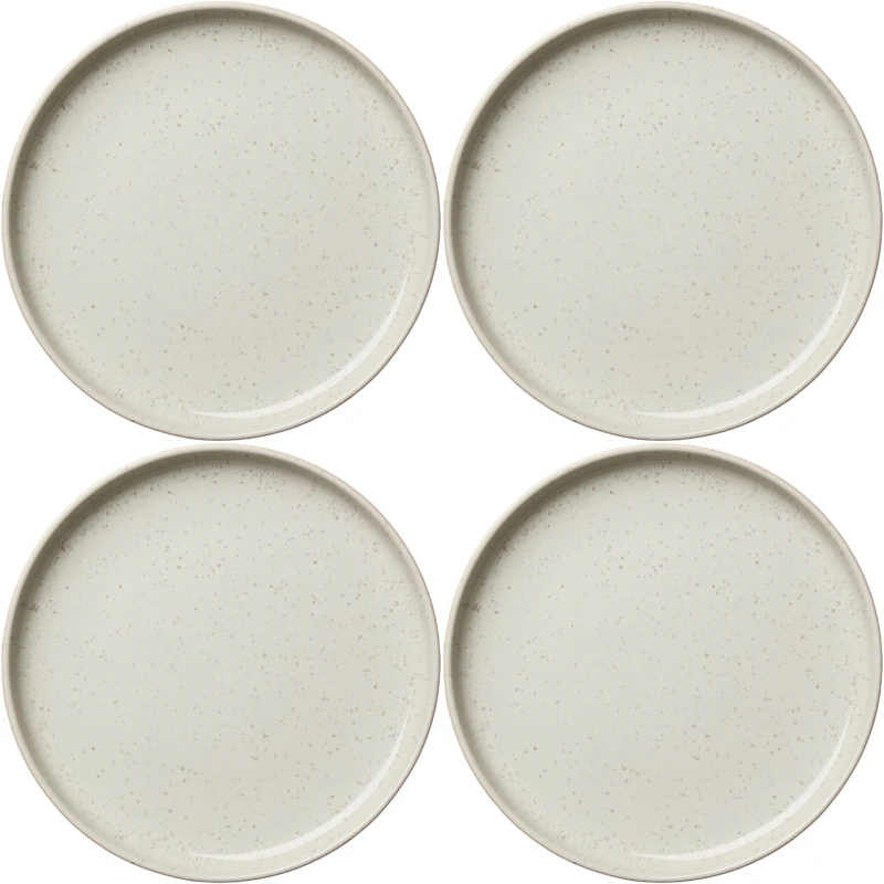 BON Plate 22 cm 4-pack, Steam