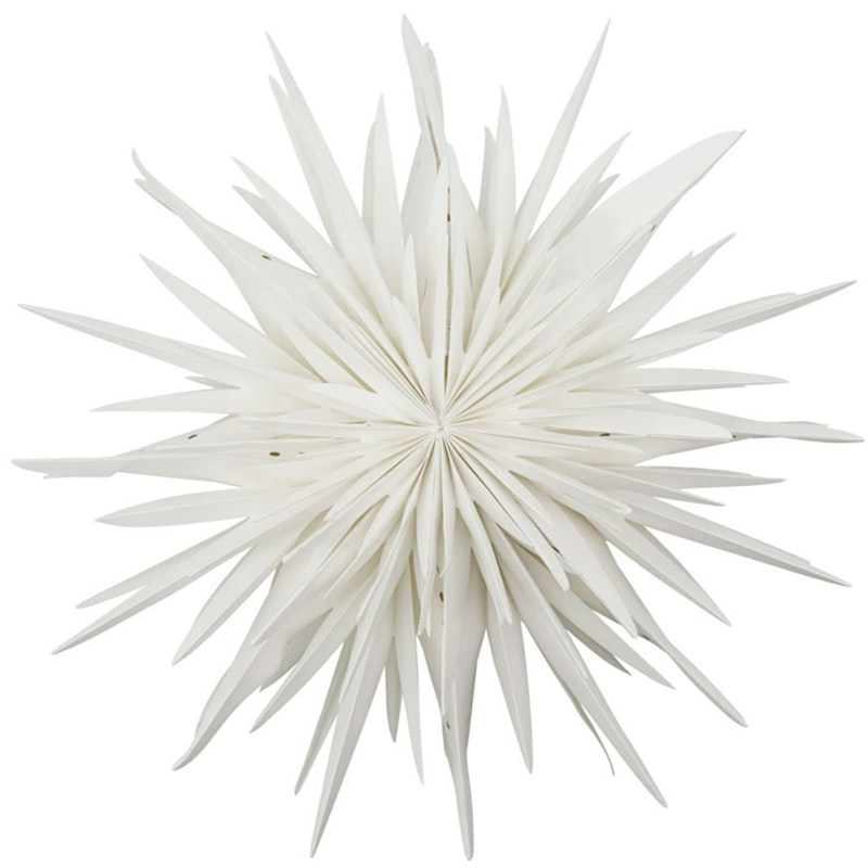 Dust Star Off-White, 70 cm