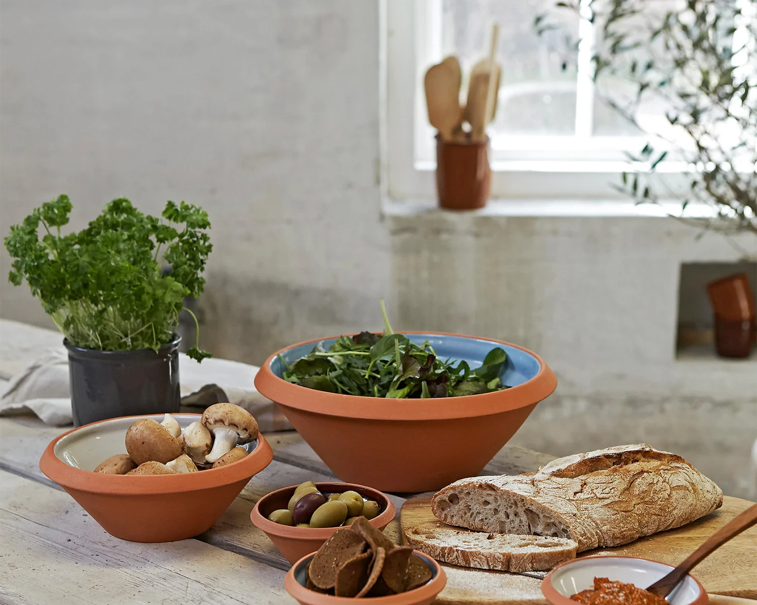 Terrakotta Dough Bowl
