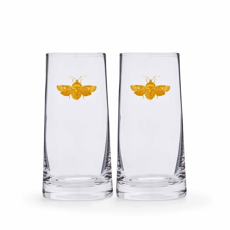 Creatures of Curiosity Highball Glass, 2-pack